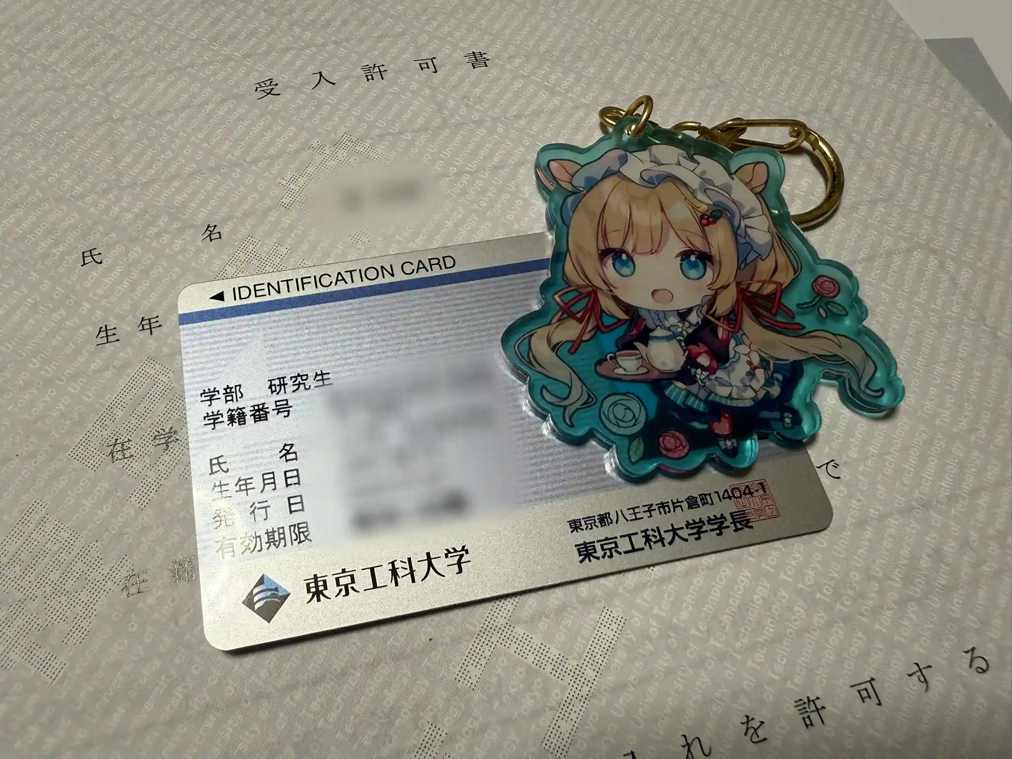 Featured image of post 研究生入学